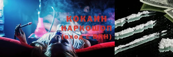 стафф Дмитриев