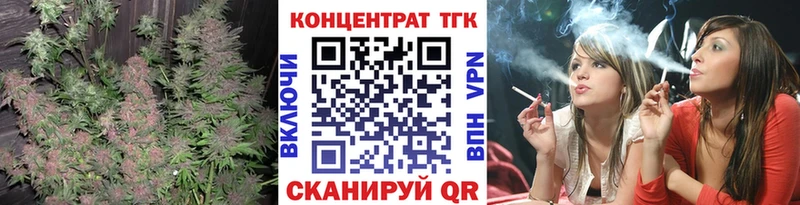 ТГК Wax  Петропавловск-Камчатский 