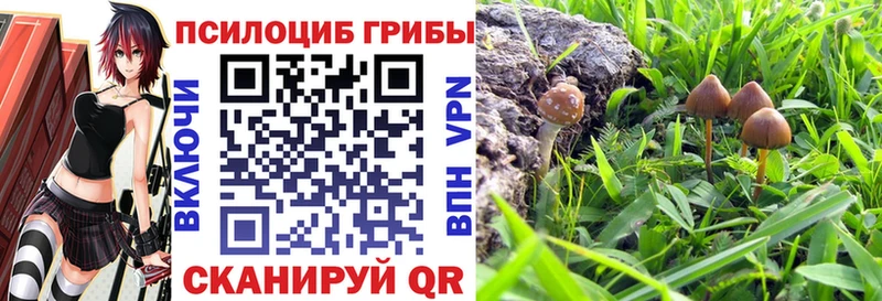 Галлюциногенные грибы мицелий  гидра вход  Петропавловск-Камчатский  наркошоп 