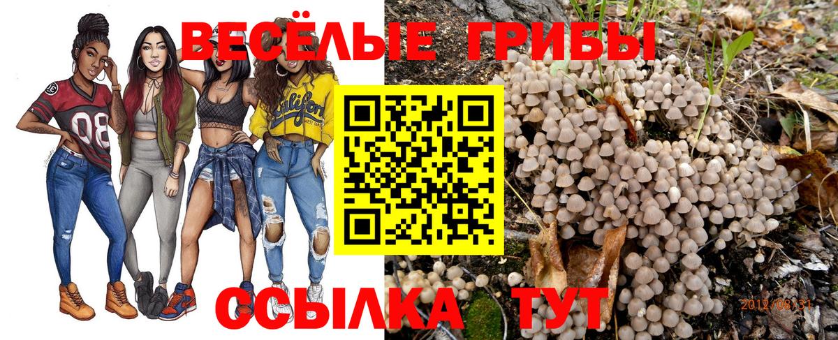 Псилоцибиновые грибы ЛСД Петропавловск-Камчатский